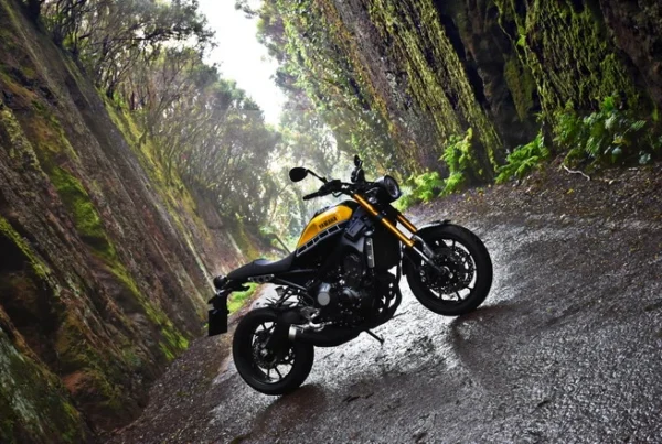 alquilar moto en tenerife y recorrer la ruta de anaga