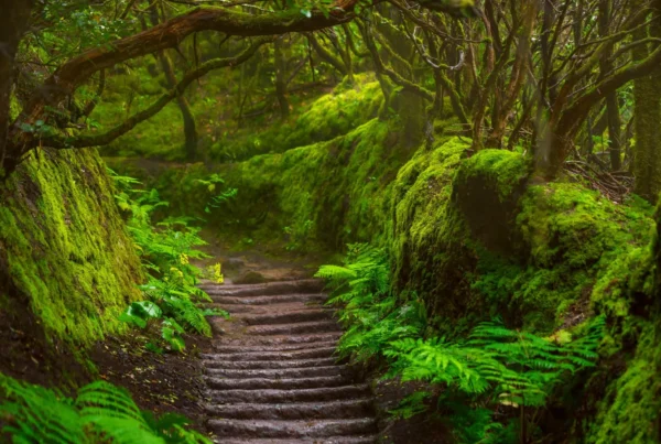 anaga rural park by motorbike