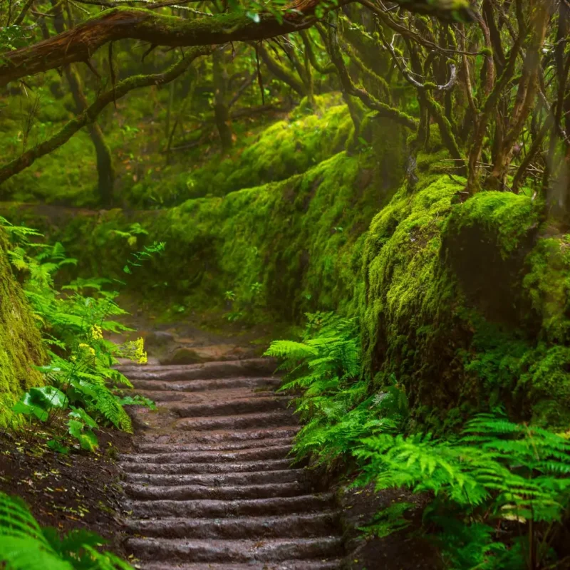 anaga rural park by motorbike