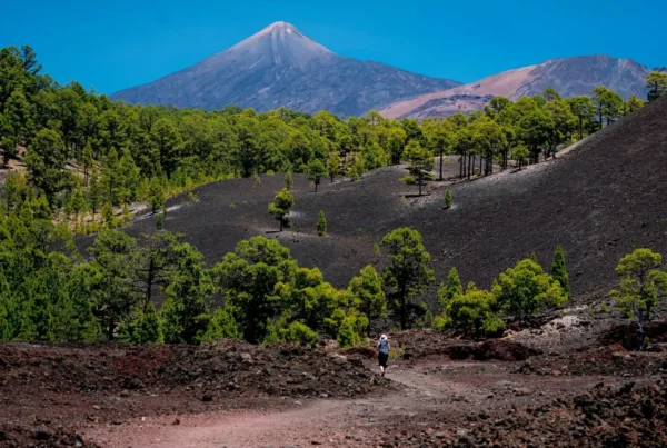 Benefits of renting a scooter with home delivery