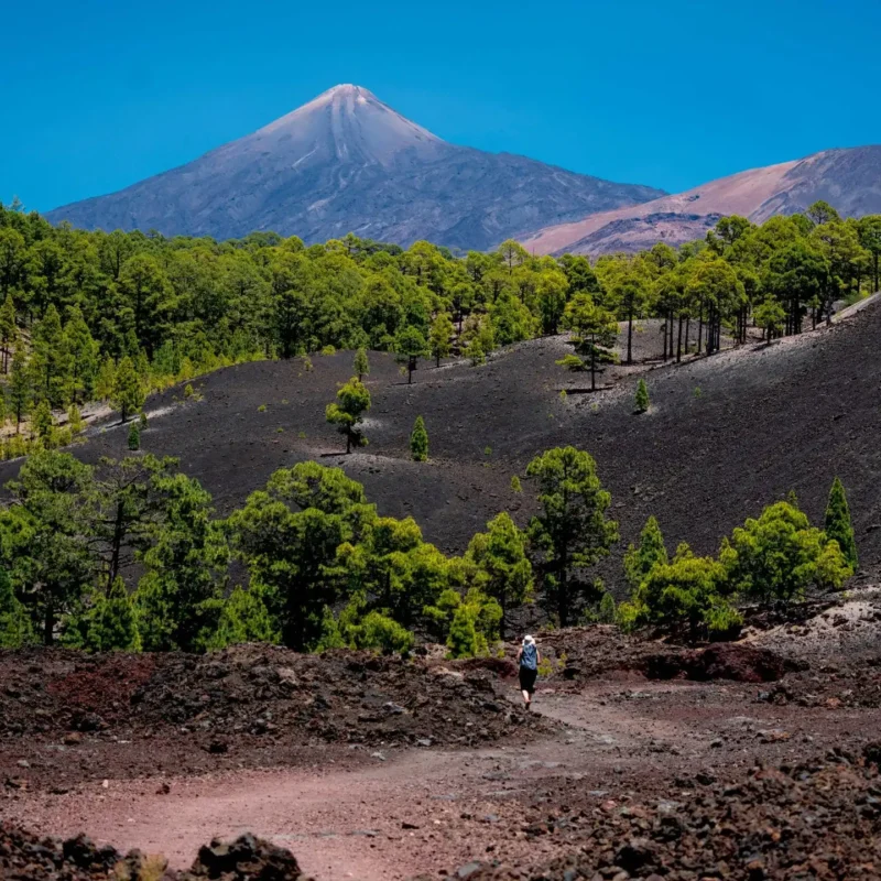 Benefits of renting a scooter with home delivery